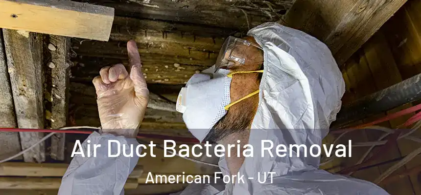  Air Duct Bacteria Removal American Fork - UT