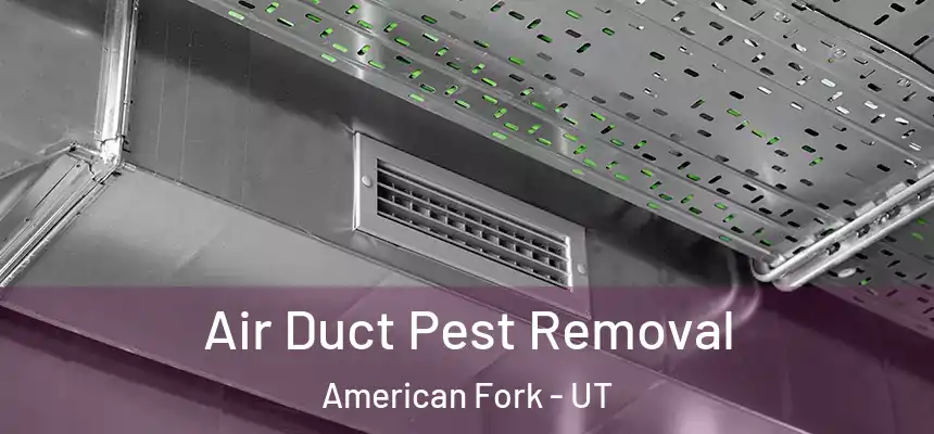  Air Duct Pest Removal American Fork - UT