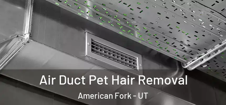  Air Duct Pet Hair Removal American Fork - UT