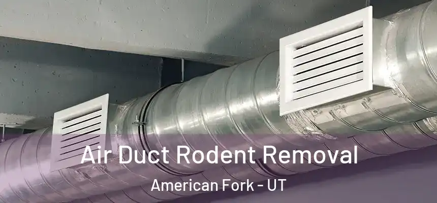  Air Duct Rodent Removal American Fork - UT