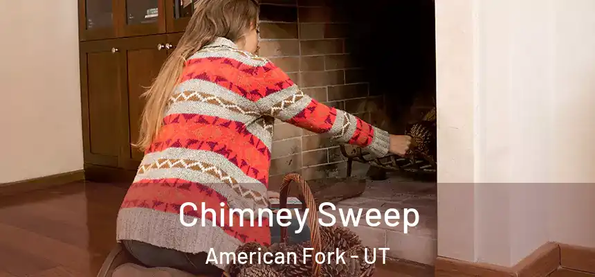  Chimney Sweep American Fork - UT