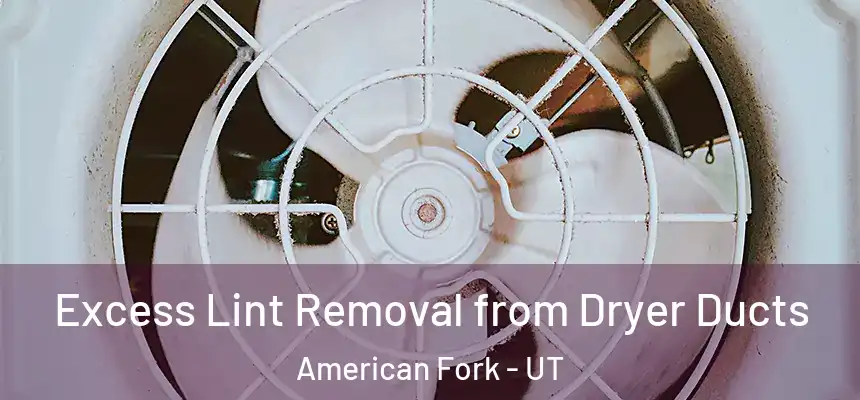 Excess Lint Removal from Dryer Ducts American Fork - UT