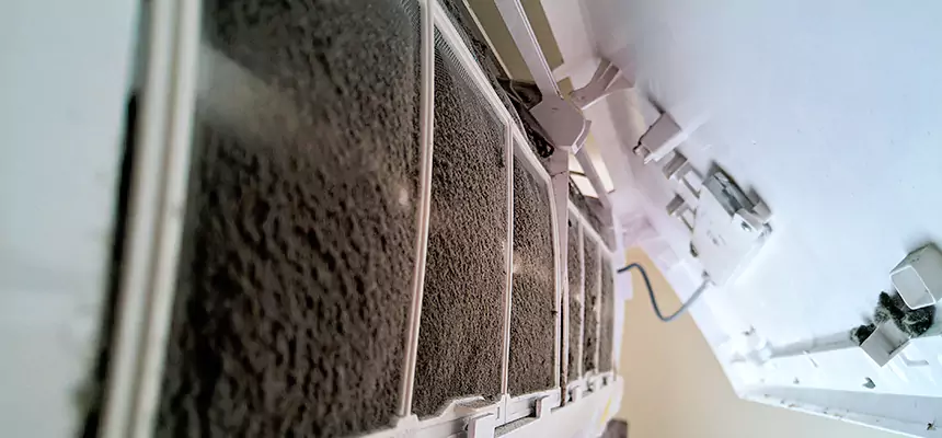 Preventive Air Duct Bacteria Removal in American Fork