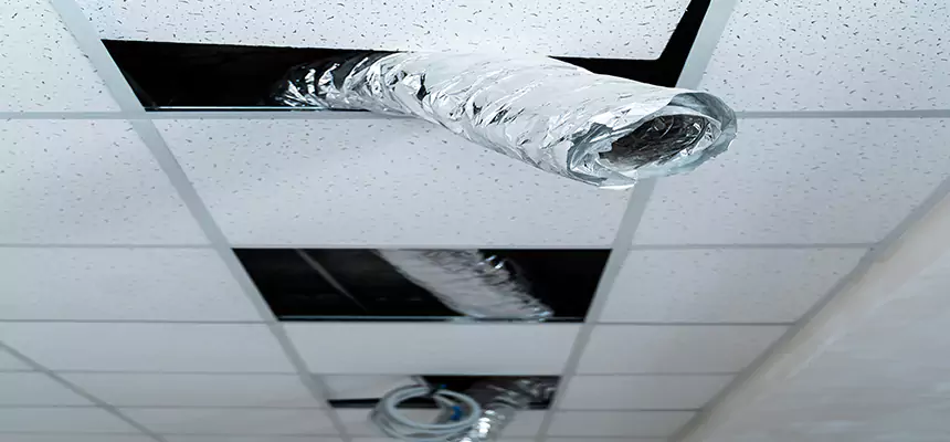 Our Air Duct Pet Hair Removal Services in American Fork, UT