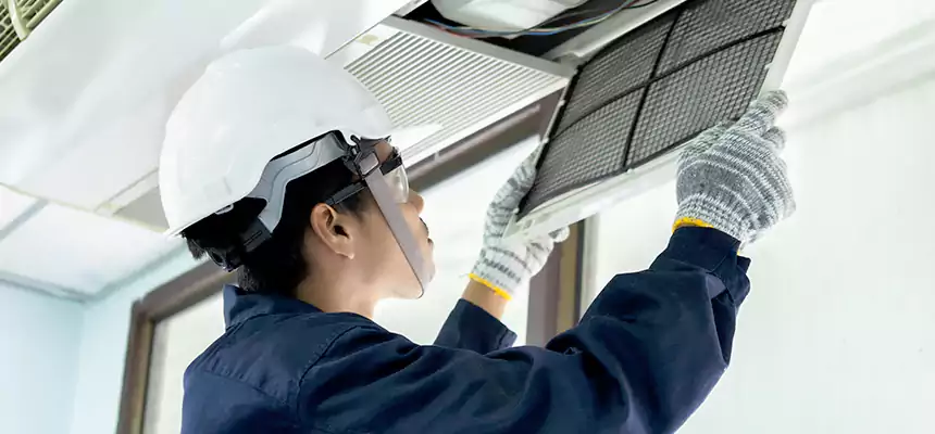 Our Mold & Mildew Removal from Air Ducts Services in American Fork, UT