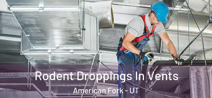 Rodent Droppings In Vents American Fork - UT