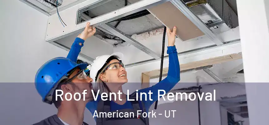  Roof Vent Lint Removal American Fork - UT