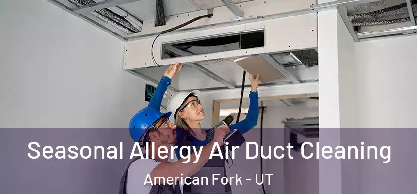  Seasonal Allergy Air Duct Cleaning American Fork - UT