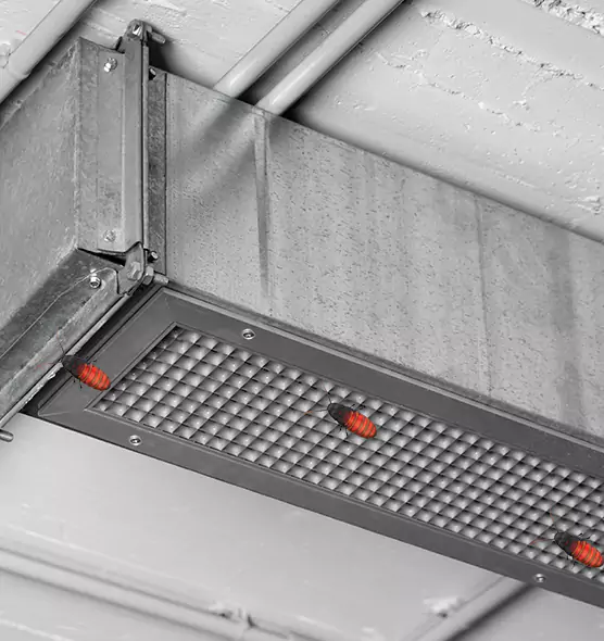About Air Duct Cockroach Removal in American Fork, UT