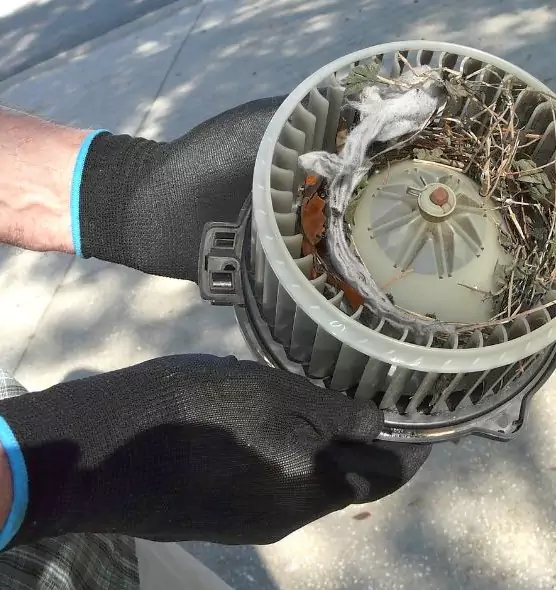 About Air Duct Rat Removal in American Fork, UT