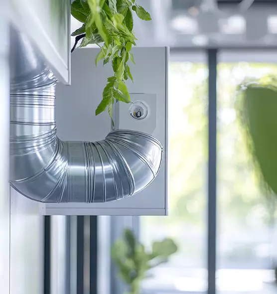 Professional Eco-Friendly Duct Cleaning Services in American Fork, UT