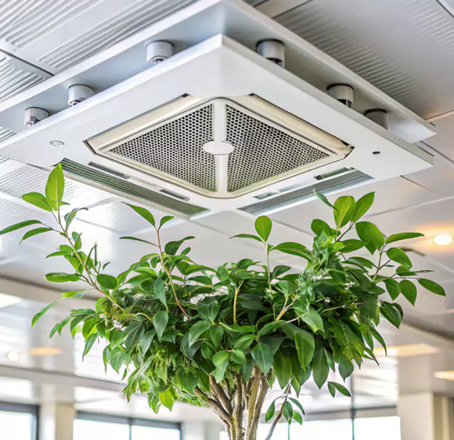 Why Homeowners & Businesses Trust Us in American Fork, UT?