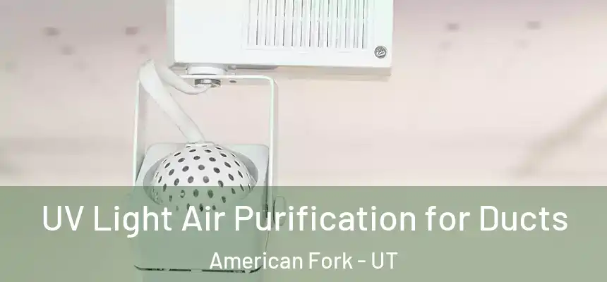  UV Light Air Purification for Ducts American Fork - UT